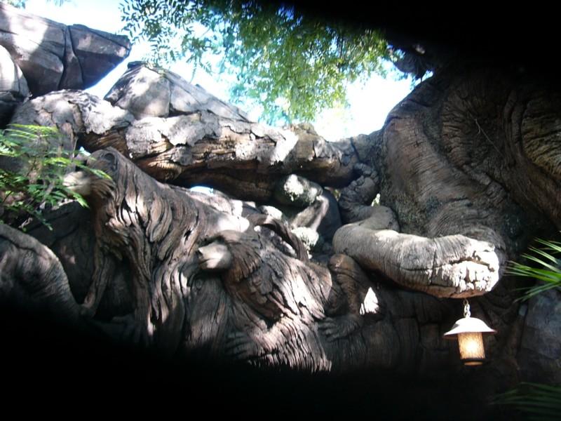 Tree of Life closeup (1).JPG